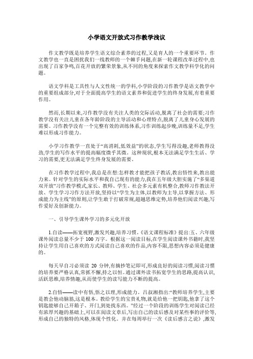 小学语文开放式习作教学浅议