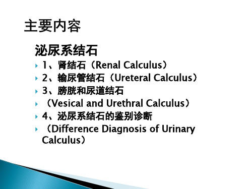 泌尿系结石pptppt课件