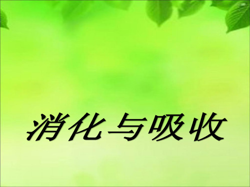 六年级下册科学课件-2.5 消化与吸收｜冀教版  (共25张PPT)