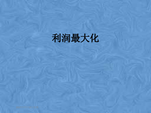 利润最大化
