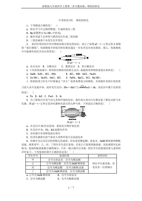 浙教版九年级科学上册第二章专题训练：物质的转化