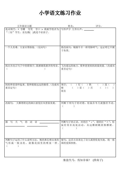 小学五年级语文课堂练习II (53)