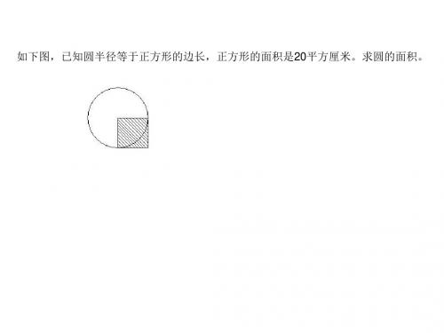 圆的面积练习