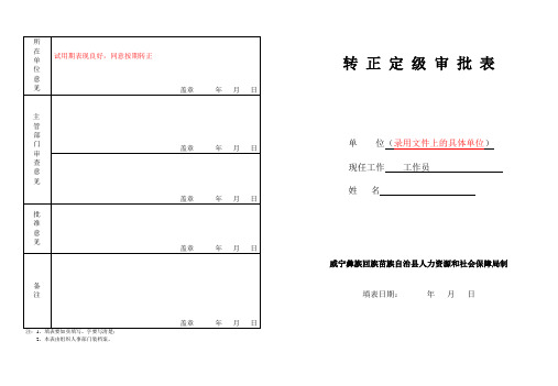 转正定级表(模板)