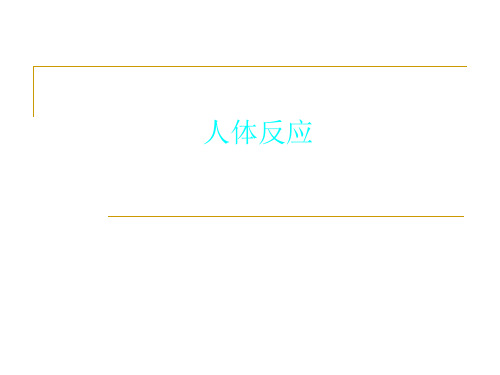 人体反应