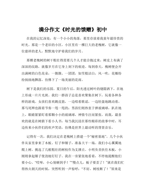 满分作文《时光的馈赠》初中