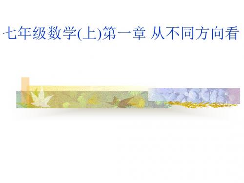 七级数学上第一从不同方向看-11页PPT文档资料