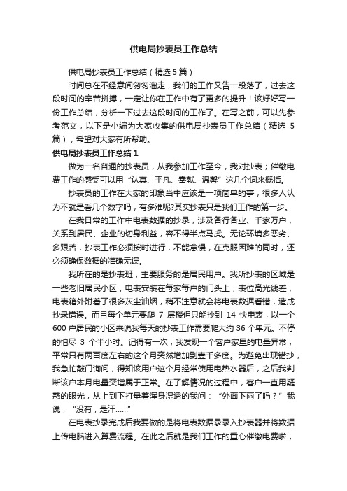 供电局抄表员工作总结（精选5篇）