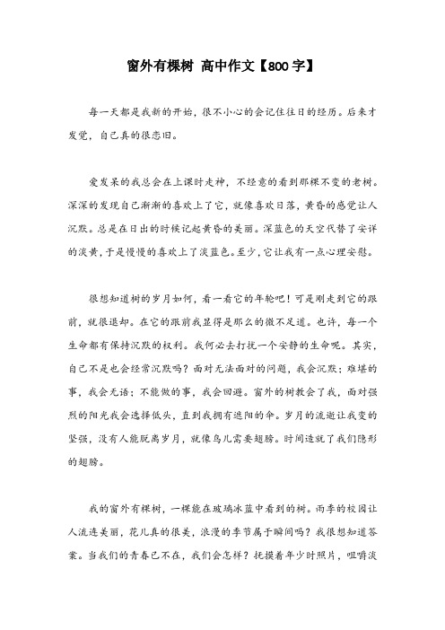 窗外有棵树 高中作文【800字】