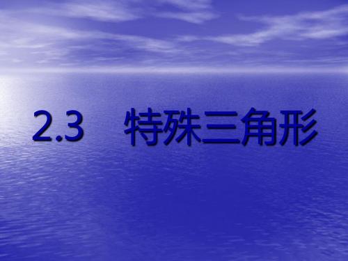 中考数学《2.3特殊三角形》总复习课件ppt
