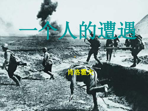 高中语文苏教课标版必修二《一个人的遭遇(节选)》王天勇PPT课件 一等奖新名师优质课