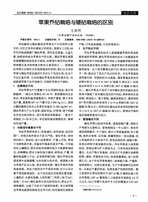 苹果乔砧栽培与矮砧栽培的区别