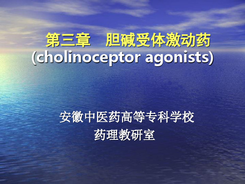 胆碱受体激动 药