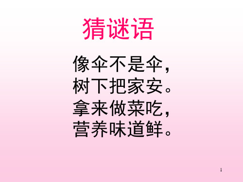 课文二《房顶上的大蘑菇》一年级下北京版_图文