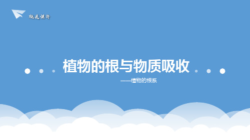 八年级下《植物的根与物质吸收》ppt课件浙教版
