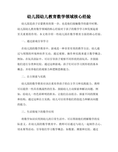 幼儿园幼儿教育数学领域核心经验