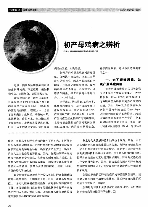 初产母鸡病之辨析