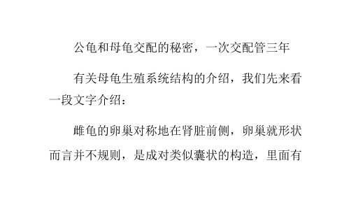 公龟和母龟交配的秘密,一次交配管三年