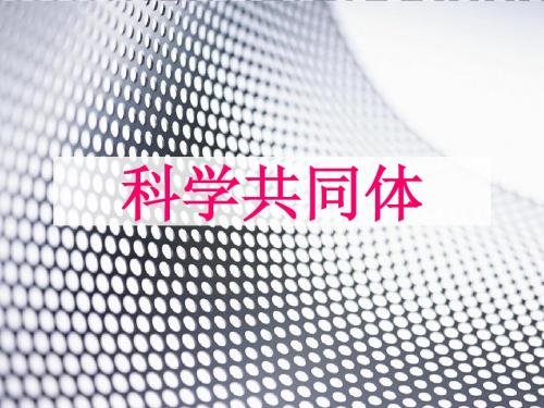 科学共同体