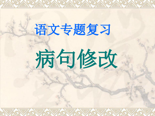 病句修改(公开课获奖课件)