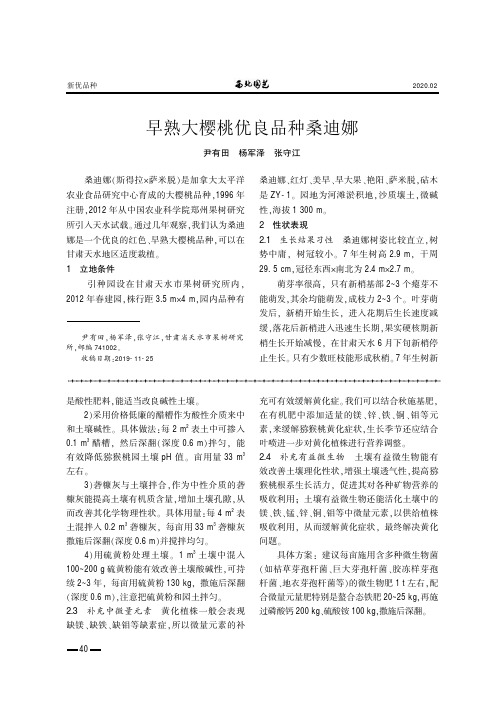 早熟大樱桃优良品种桑迪娜