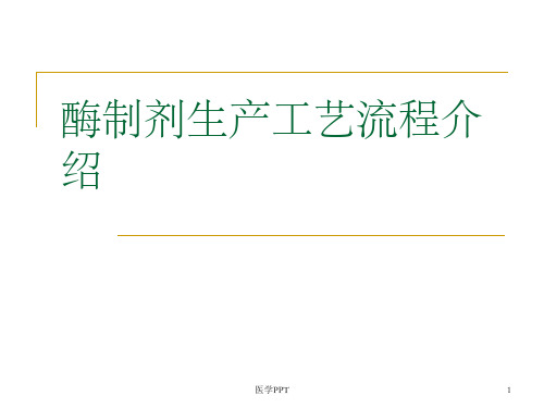 《酶制剂生产工艺流》PPT课件