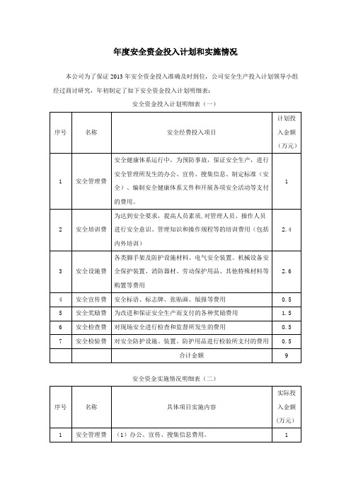年度安全资金投入计划和实施情况