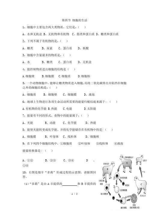 人教版生物七年级上册第二单元第一章第四节 细胞的生活  课时练习 