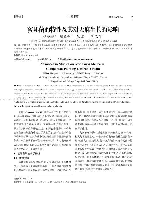 蜜环菌的特性及其对天麻生长的影响