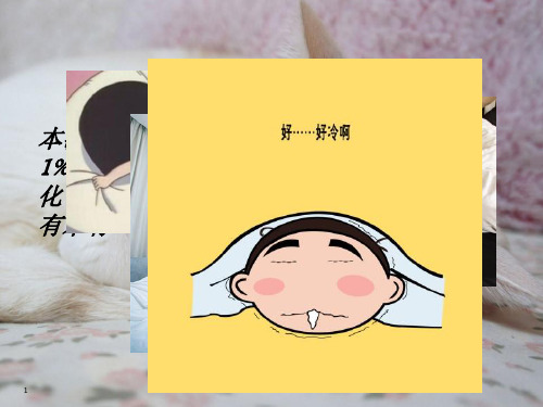 睡眠与休息型态PPT课件