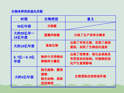 生物多样性的进化历程 教学课件