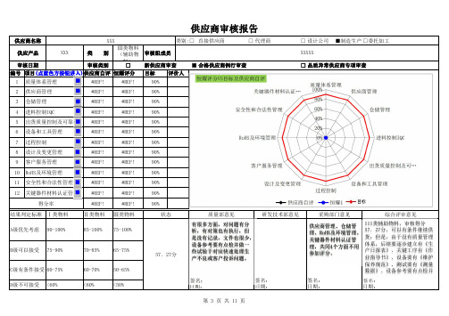 供应商审核报告模板