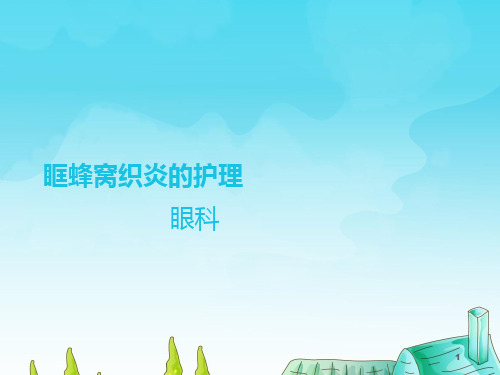眼科护理查房眶蜂窝织炎的护理PPT幻灯片