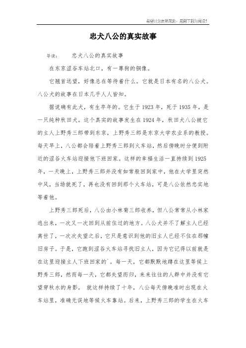 忠犬八公的真实故事