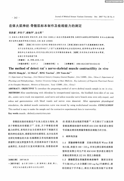 在体大鼠神经-骨骼肌标本制作及收缩能力的测定