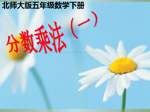 北师大版五年级数学下册分数乘法(一)ppt