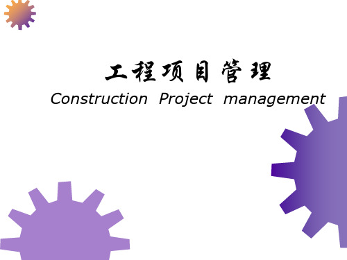 《项目管理组织》课件