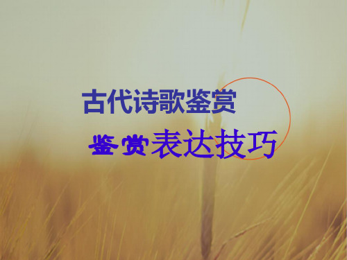 最新-最新2021届高考语文第一轮知识点专题复习古代诗歌鉴赏表达技巧课件  精品