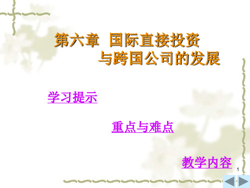 第6章国际直接投资与跨国公司的发展(世界经济概论-吉