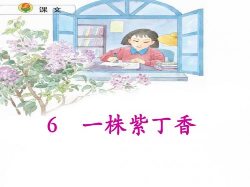 《一株紫丁香》公开课 优秀课件 精品.ppt