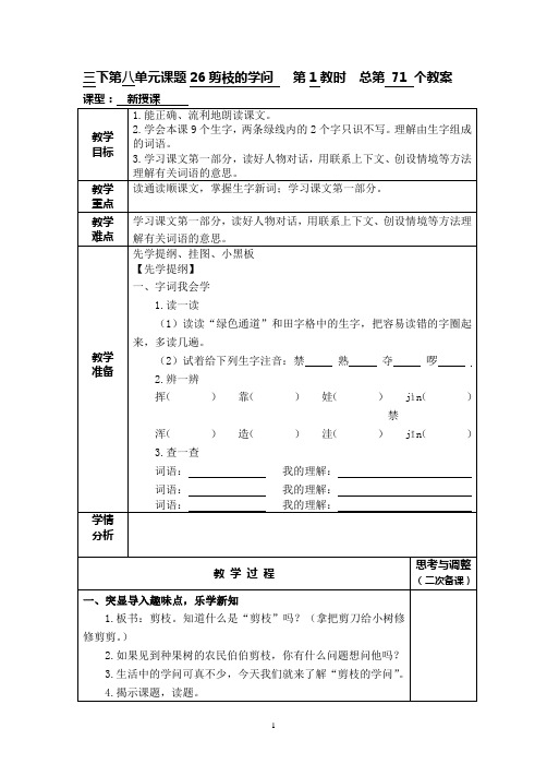 26剪枝的学问