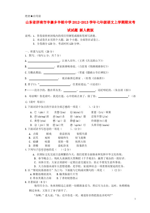 山东省济南市辛寨乡七年级语文上学期期末考试试题 新人教版