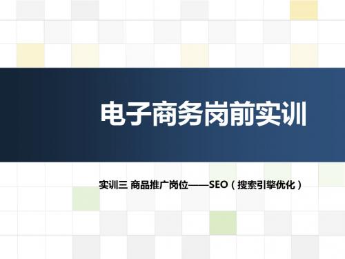 电子商务岗前实训-SEO(搜索引擎优化)