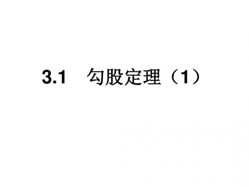 苏科版八年级数学上册课件：3.1勾股定理1