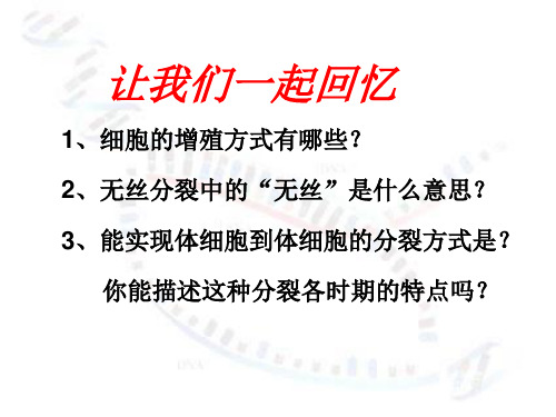 高中生物必修二课件-2.1.1 减数分裂12-人教版