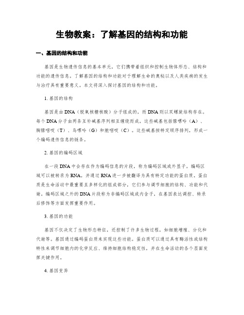 生物教案：了解基因的结构和功能
