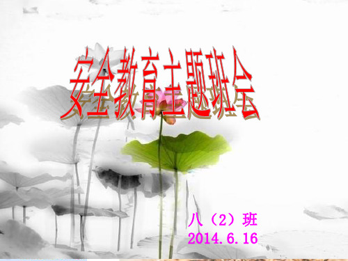 八年级“安全教育”主题班会ppt课件