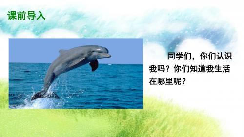五年级下册语文课件-第二单元 8  海豚救人(语文S版) 2