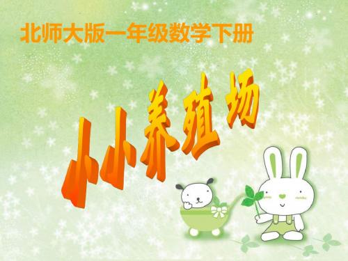 北师大版一下小小养殖场-PPT课件