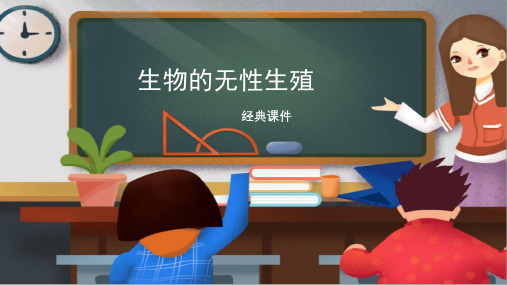 苏教版八年级生物下册 《生物的无性生殖》经典课件2